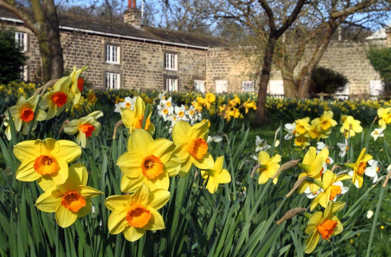 Harewood Estate Cottages Esterno foto